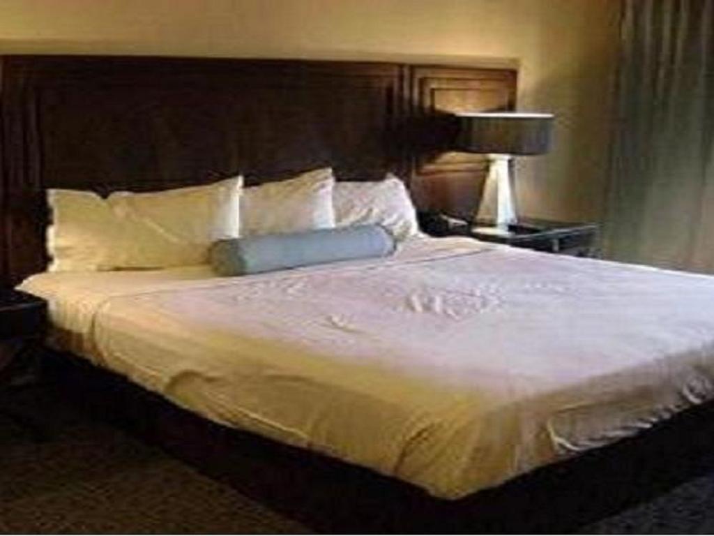 Hotel Sagar Castle Ratlām 部屋 写真